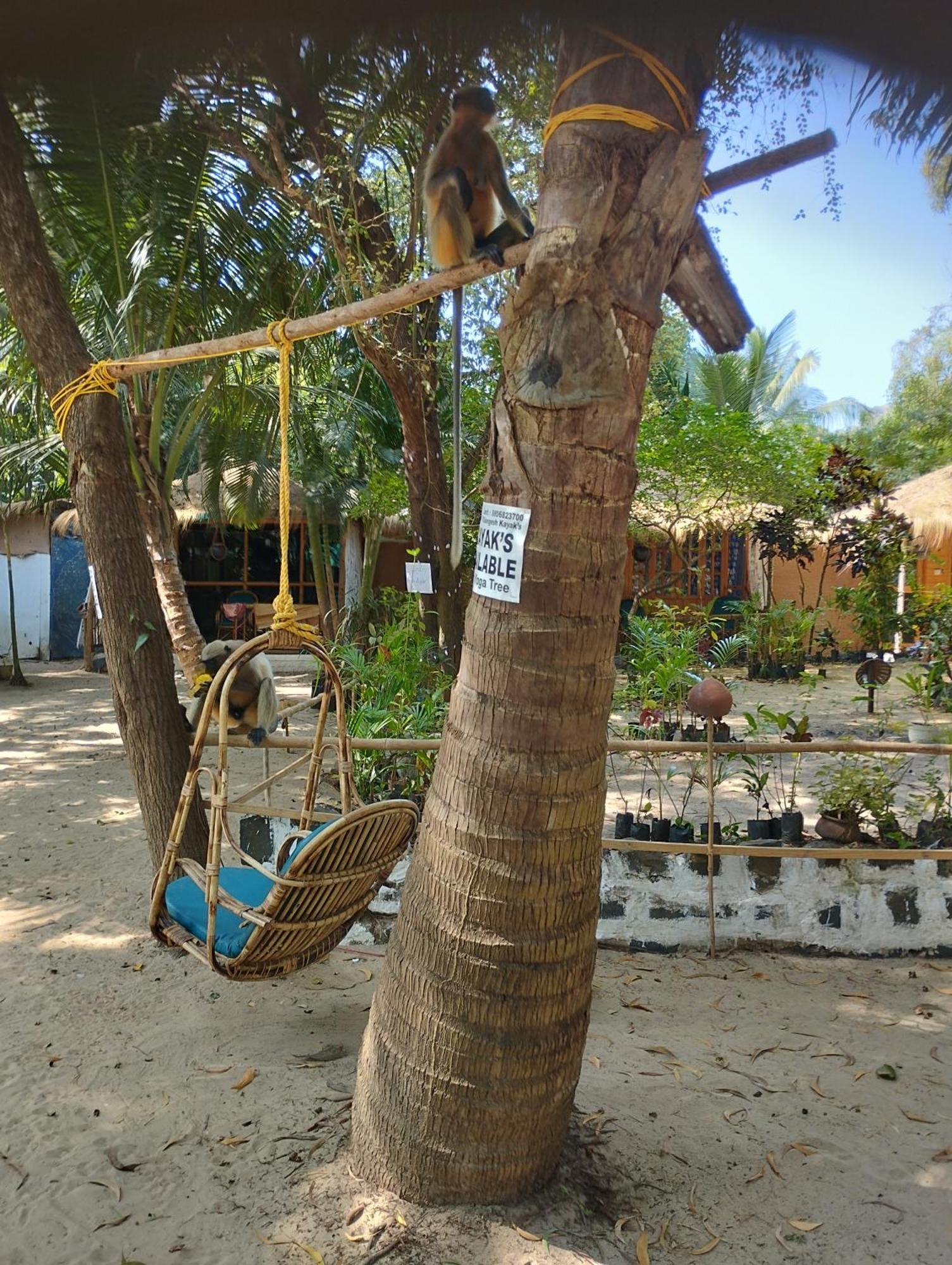Yoga Culture Palolem Hotel Kültér fotó